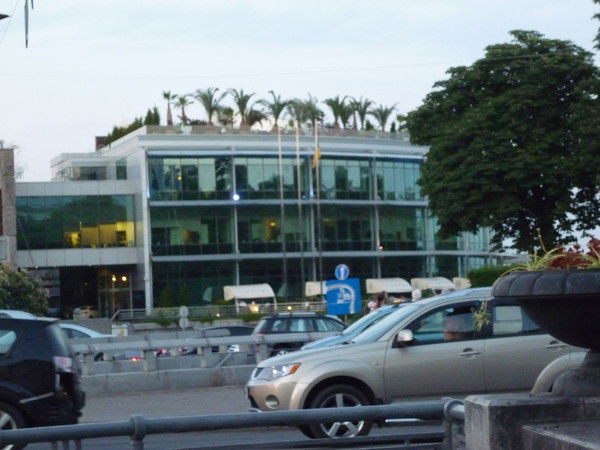 Владислава Лебедь