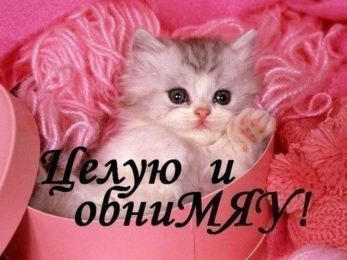 Галина Кирюшина