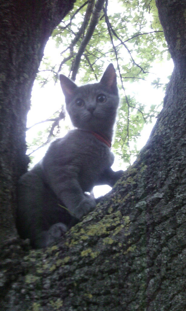 Ольга Мезенцева