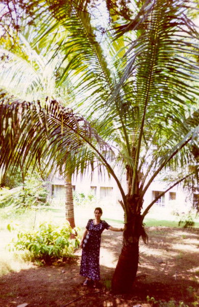 Мадина Ахмедова