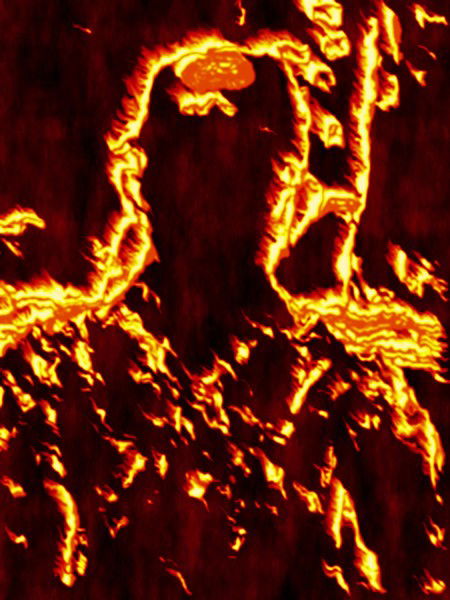 Виктор Редькин