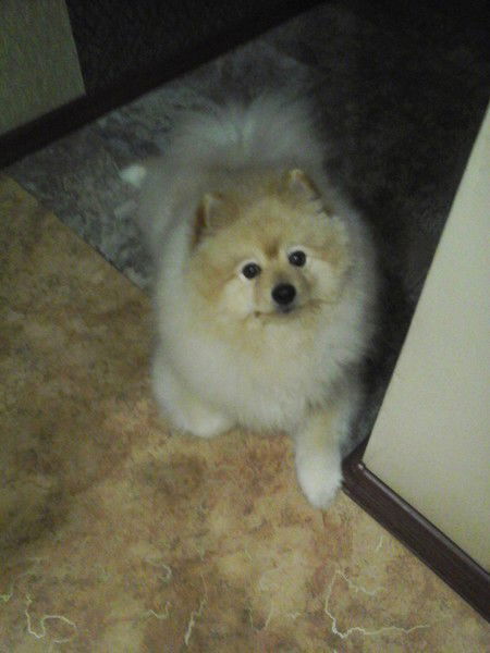 Марина Утманцева