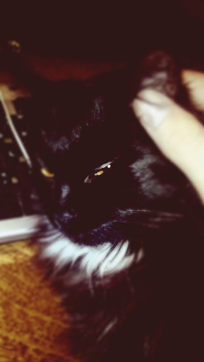 Симеон Карпов