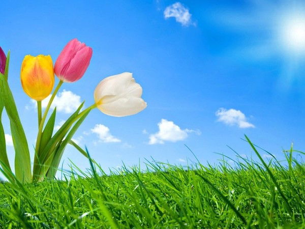 Город Братск