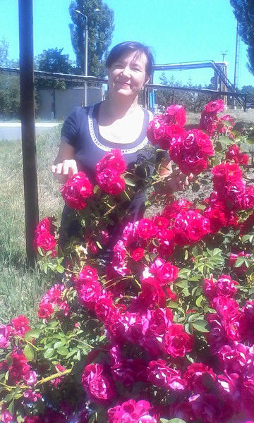 Татьяна Старцева