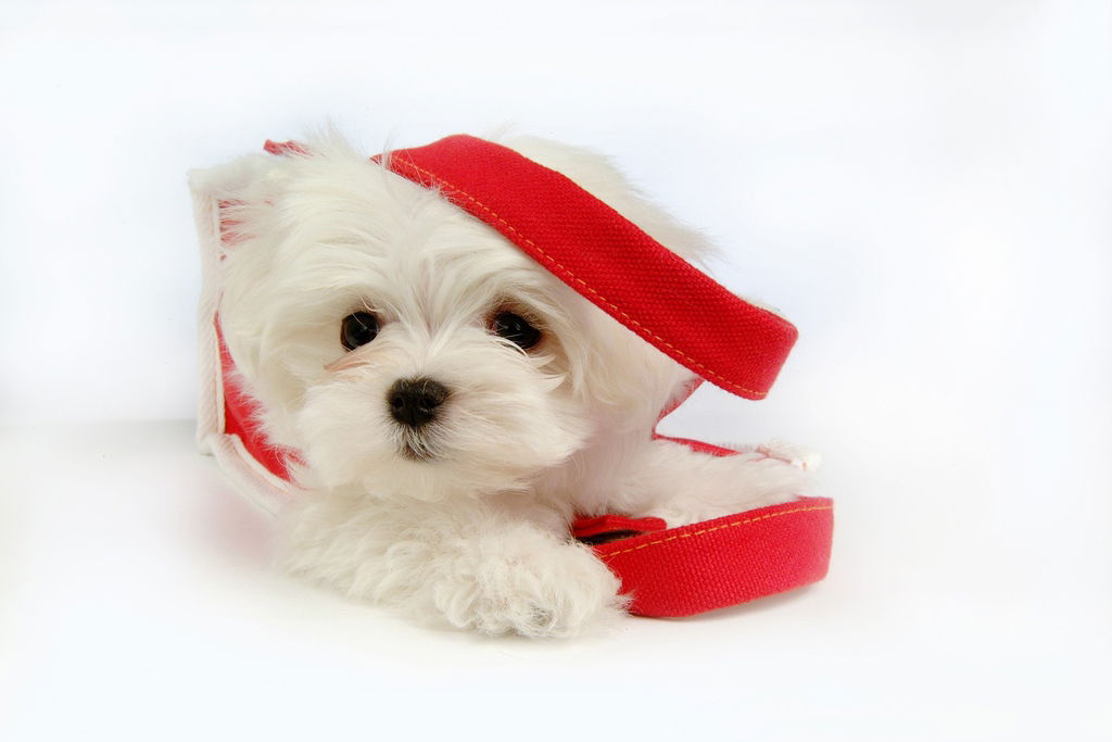 Эльвира Сулейманова