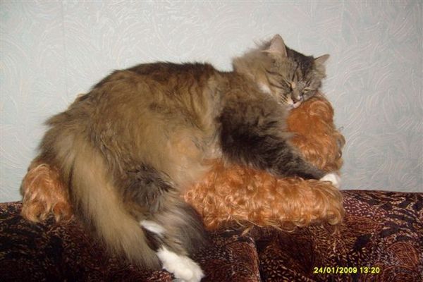 Людмила Зажарская