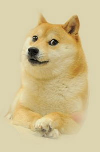 Рамин Искендеров