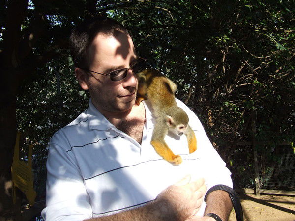 Слава Чохели