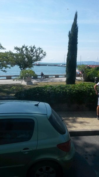 Ирина Шевченко