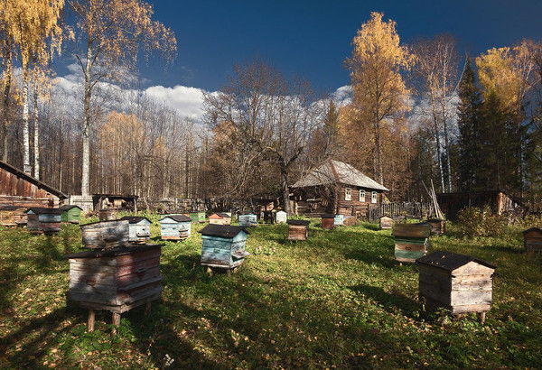 Артем Савик