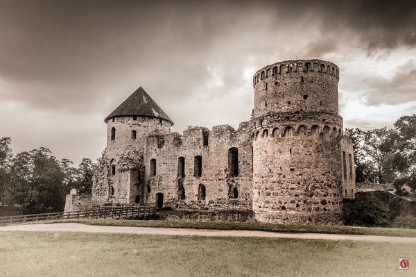 Игорь Шниткин