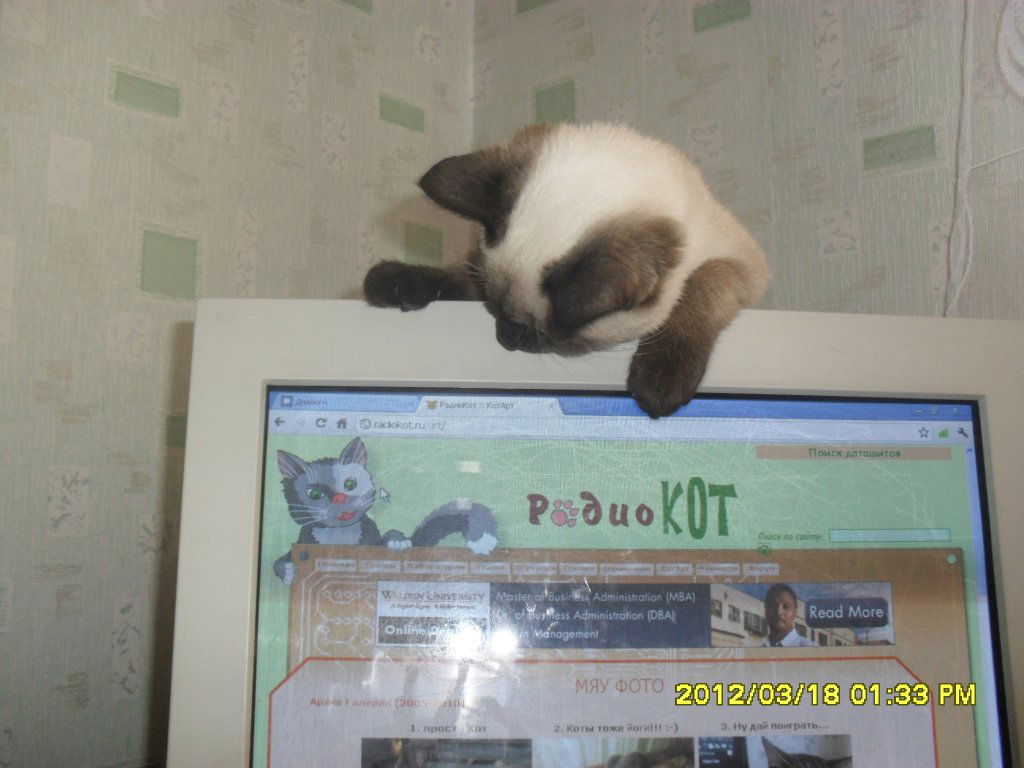 Светлячок Тигрова