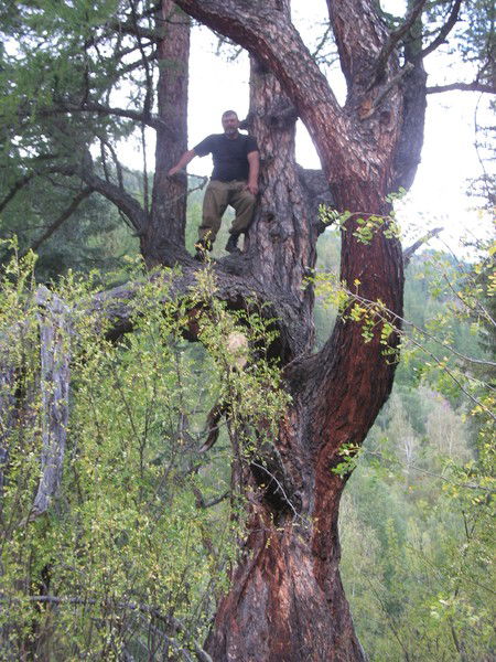 Андрей Ермаков
