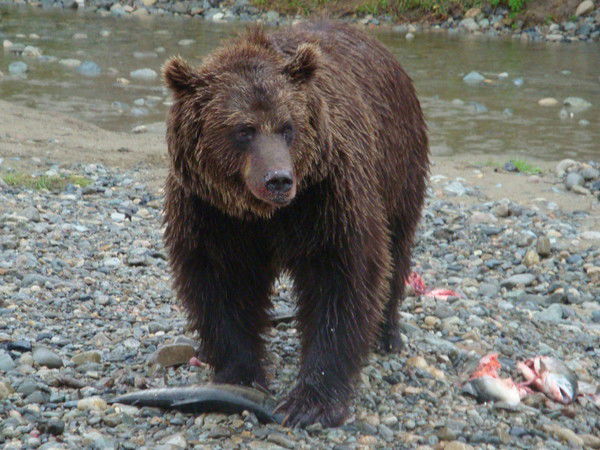 Марина Масленникова