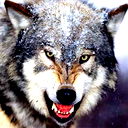 Николай Захаров