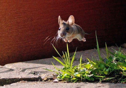 Юрий Востриков