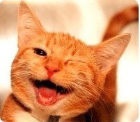 Виктор Афанасьев