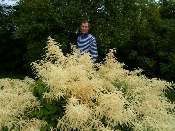 Анатолий Горбунов