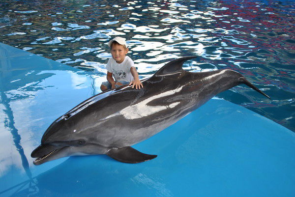 Иван Дмитриев