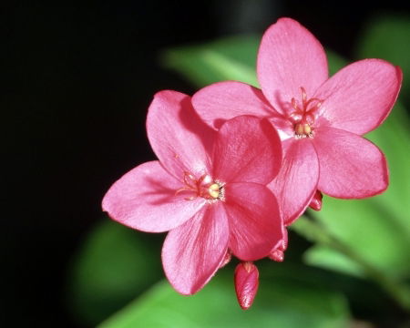 Наргуль Шакишева