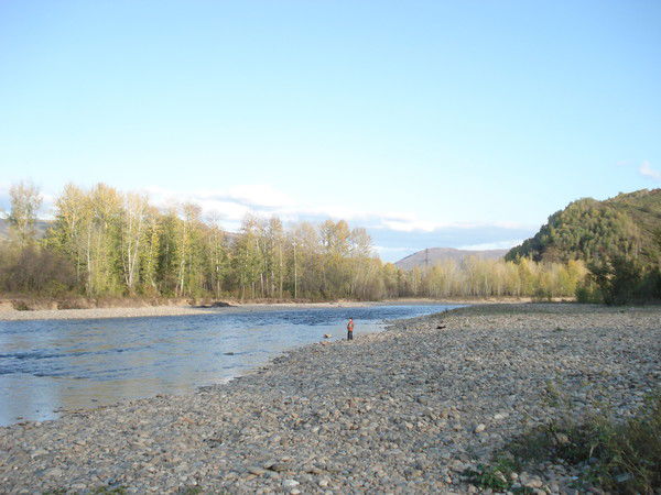 Айгуль Алпыспаева