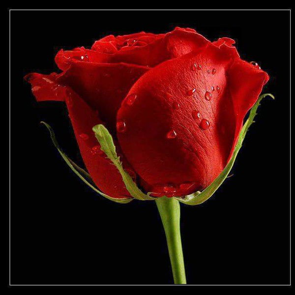 Майгул Кайнарбаева