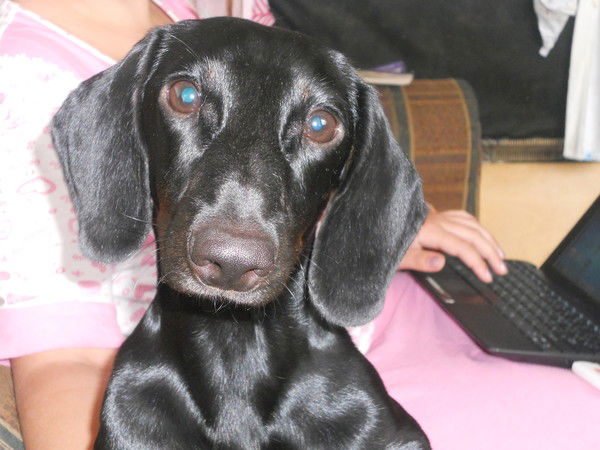 Надежда Каткова