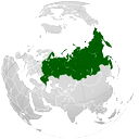 Алина Корж