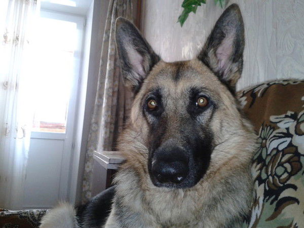 Charick Чагарин