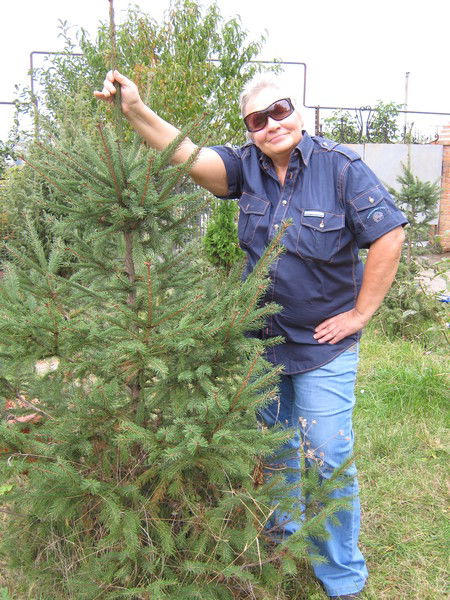 Галина Никифорова