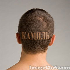 Камиль Гараев