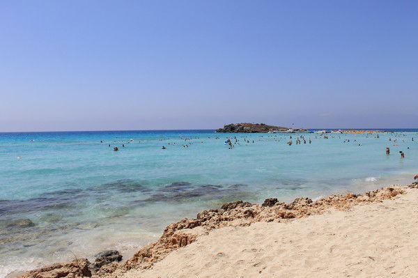 Светлана Бердник