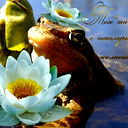 Лягуха-Царевна