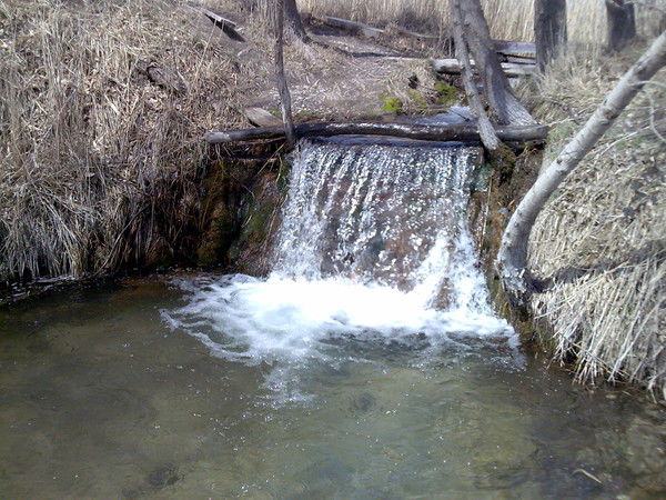 Асемгуль Жакаева