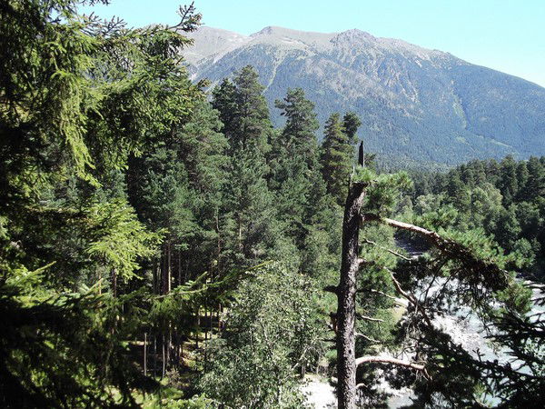 Васильев Валерий