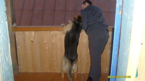 Игорь Бушуев