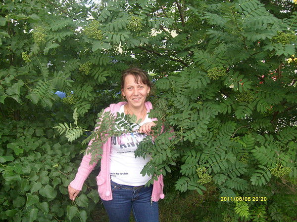 Ирина Некрасова