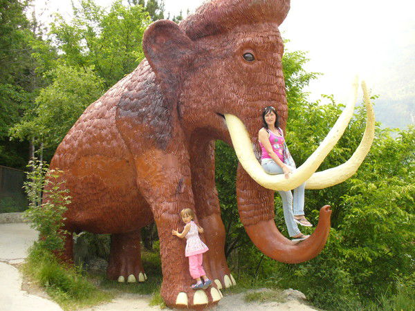 Наталья Приймак