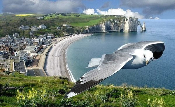 Флёра Мансуровна