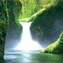 Анна Шарова