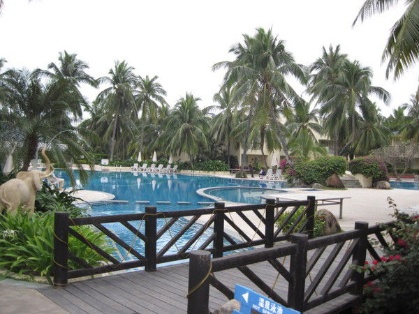 Елена Кононенко