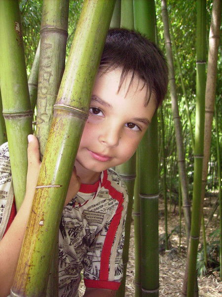 Александр Гаврилов