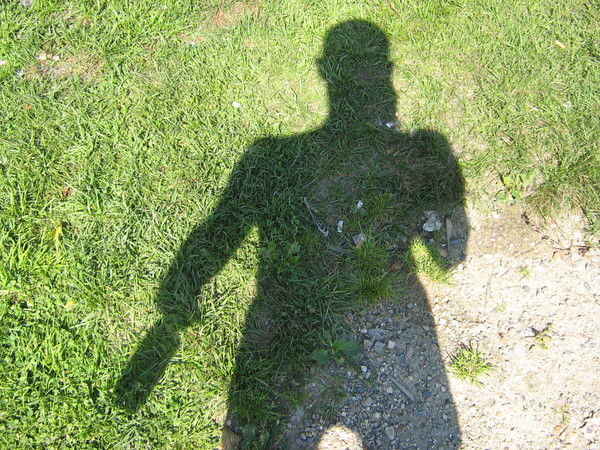 Максим Дикин