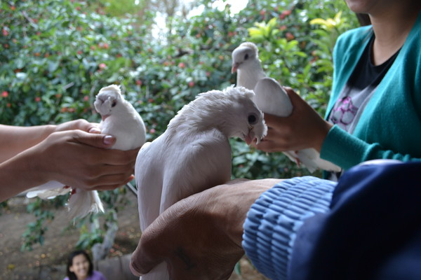 Турлан Дауысбаев