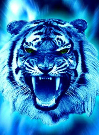 Алексей Шестаков