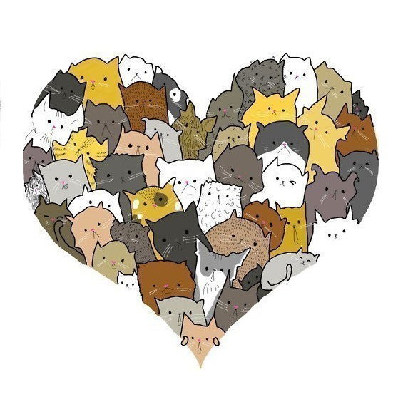 Олеся Паламарчук