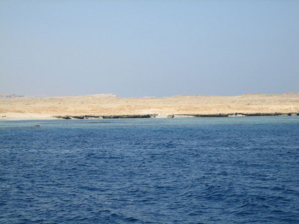 Михаил Заволгин