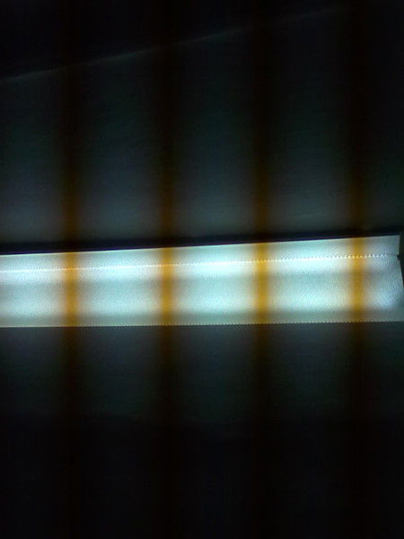 Роман Раевский