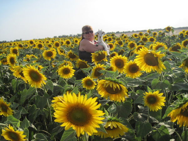 Раиса Колотинская